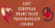 East European Heart Valve Postgraduate Course.